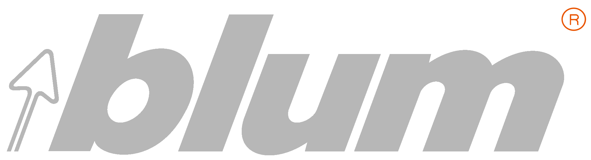 Blum-logo-macko